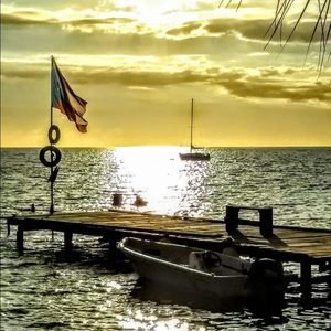 Meet your Posher, Norberto